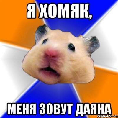 Женя хомяк