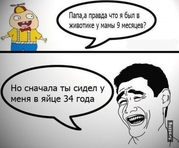 Самые прикольные мемы