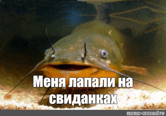 Скинь своё фото