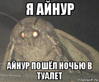 Айнур лох