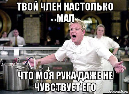 Шеф повар Мем Стонкс