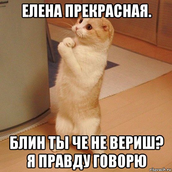 Елена ты прекрасна