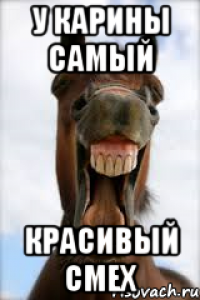 Ржачный Мем про Карину