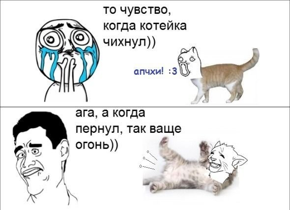 Апчхи чихнула