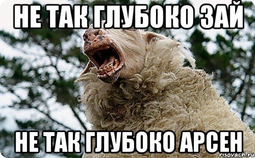 Приколы про Арсена