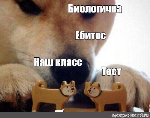 А теперь целуйтесь Мем