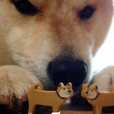 Мем с собаками целуйтесь