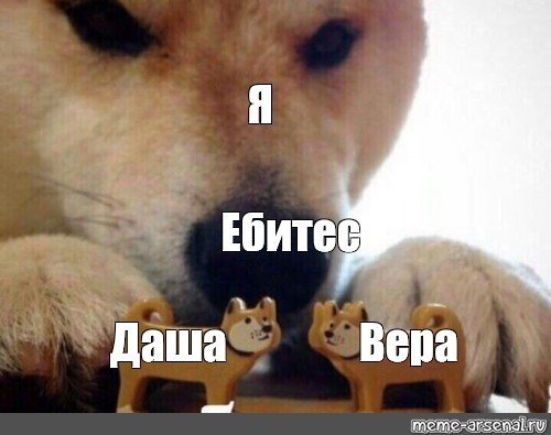 Мем с собаками целуйтесь