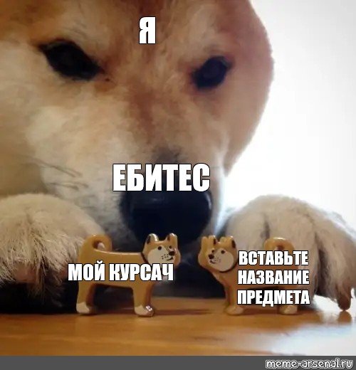 Акита ину Мем ебитес