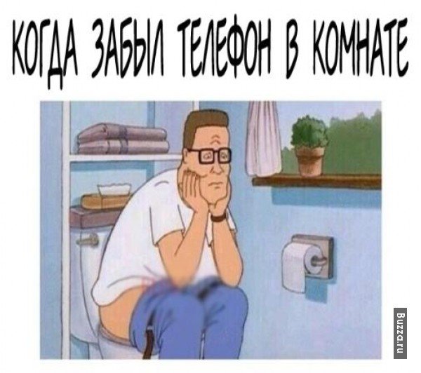 Мемы про сортир