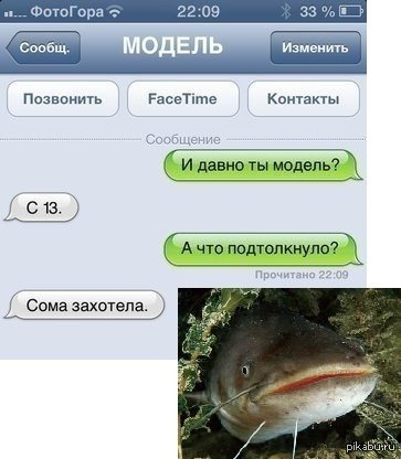 Шутки про сома