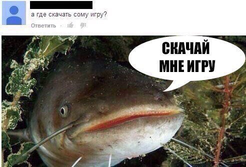 Мемы про сома