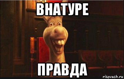 Правда правда? Осел
