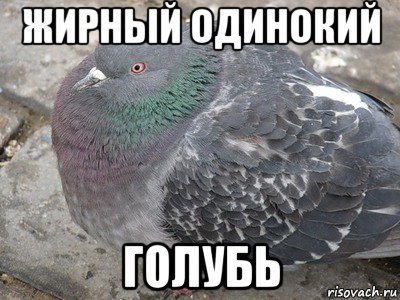 Футболка Наташа голубь