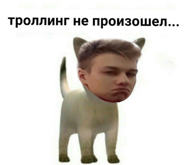 Произошел ТРОЛЛИНГ