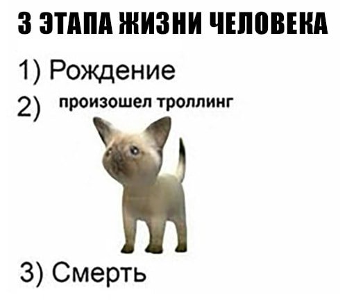 ТРОЛЛИНГ не удался