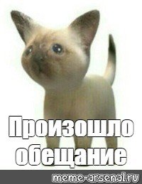 Мемы произошел ТРОЛЛИНГ