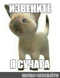 Произошел ТРОЛЛИНГ кот