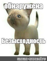 Произошёл ТРОЛЛИНГ Мем кот