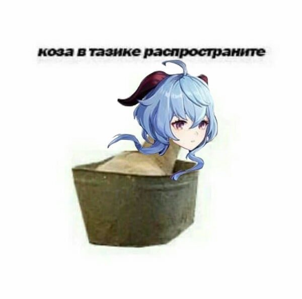 Коза в тазике распространите
