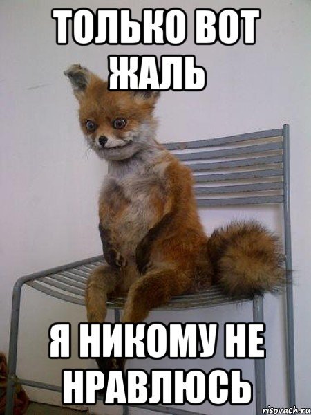Я никому не нравлюсь Мем