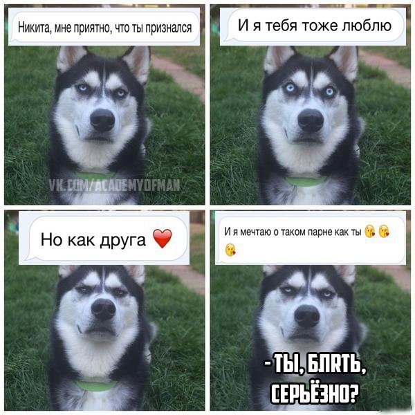 Я люблю тебя но как друга