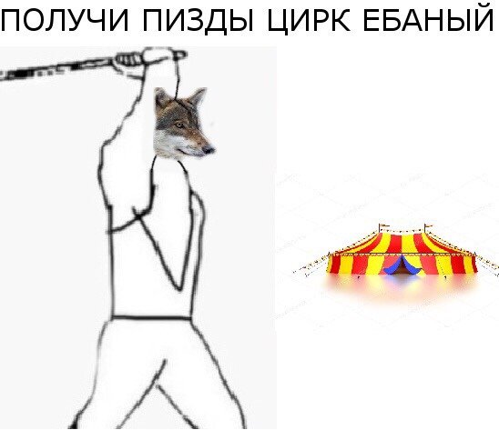 Мемы про волка и цирк