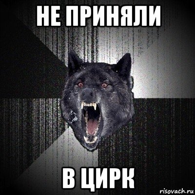 Устроили здесь цирк