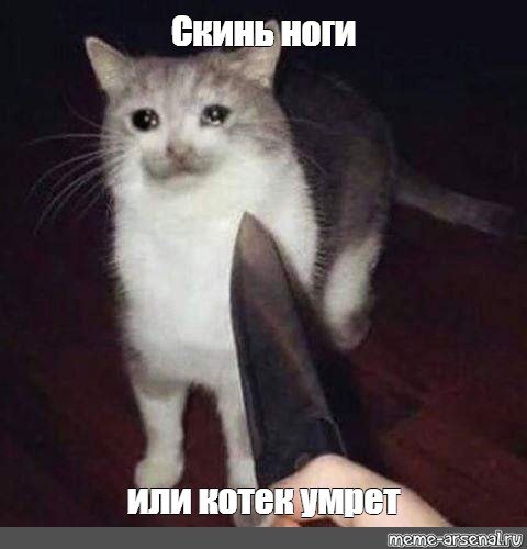 Кот с ножом Мем
