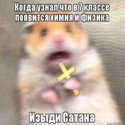 Хомяк с крестом Мем