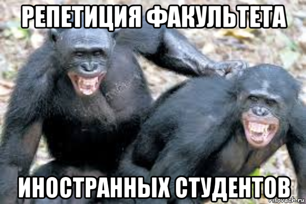 Обезьяна ладно