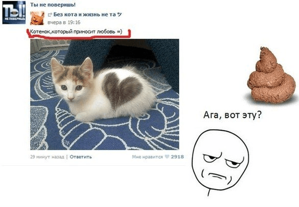 Мем про котиков