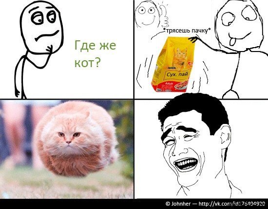 Смешные мемы с котами без мата