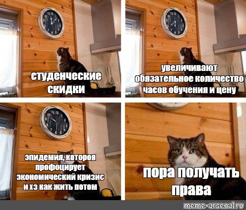 Кот опаздывает