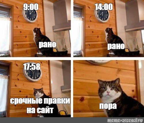 Мем кот пора