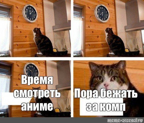 Мем кот пора