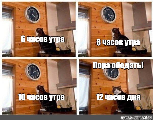 Мем с котом и часами шаблон