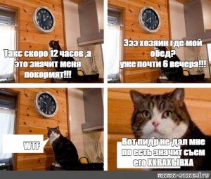 Кот с часами пора