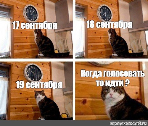 Кот и часы Мем