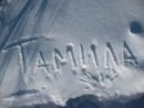 Шутки на имя Тамила