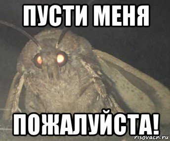 Пусти Мем