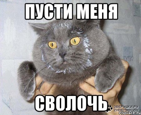 Пусти меня