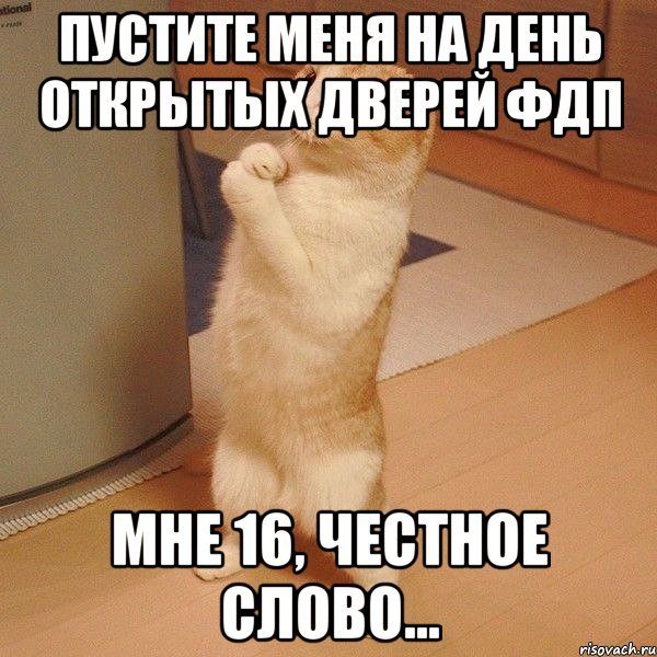 Пустите меня пустите