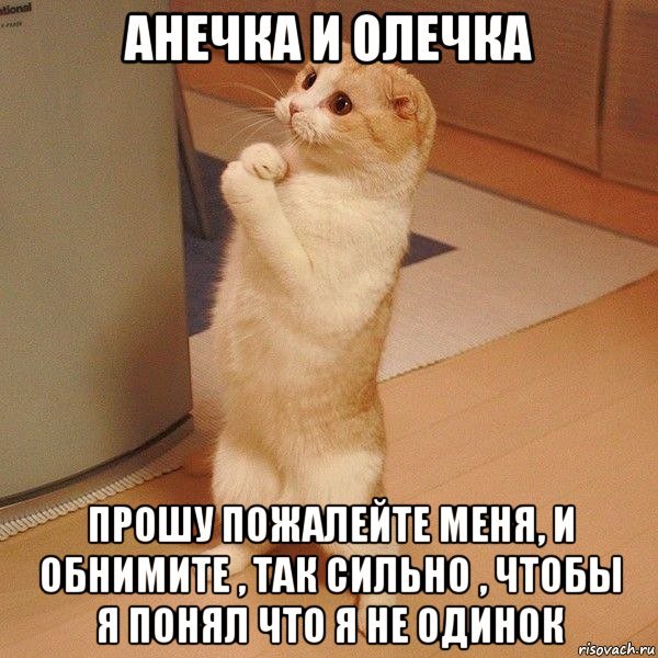 Спокойной ночи сладких снов Мем