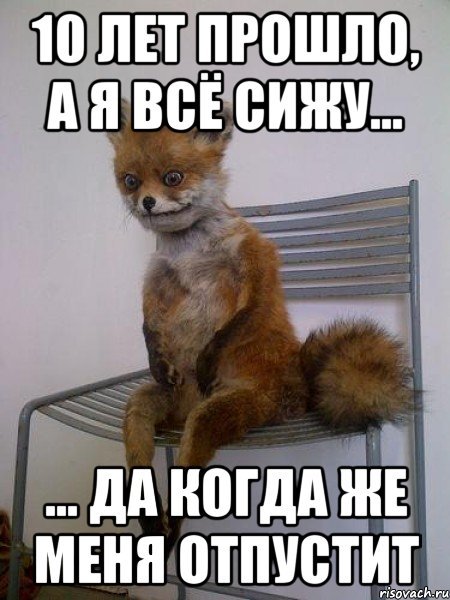 Прошло 10 лет