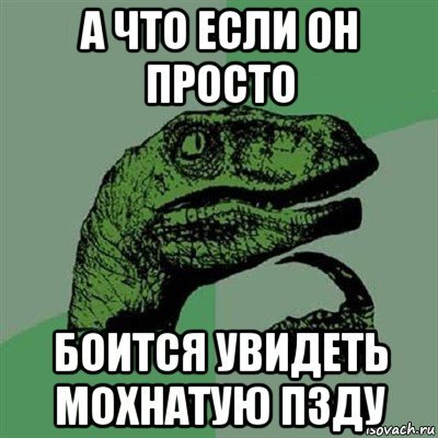 Мемы с писькагрызом
