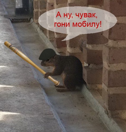 Мем Стивен смущается