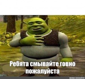 Ребята общайтесь без мата пожалуйста Шрек
