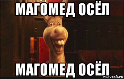 Мемы про Магомеда