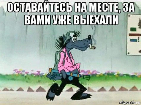 Ну ты погоди